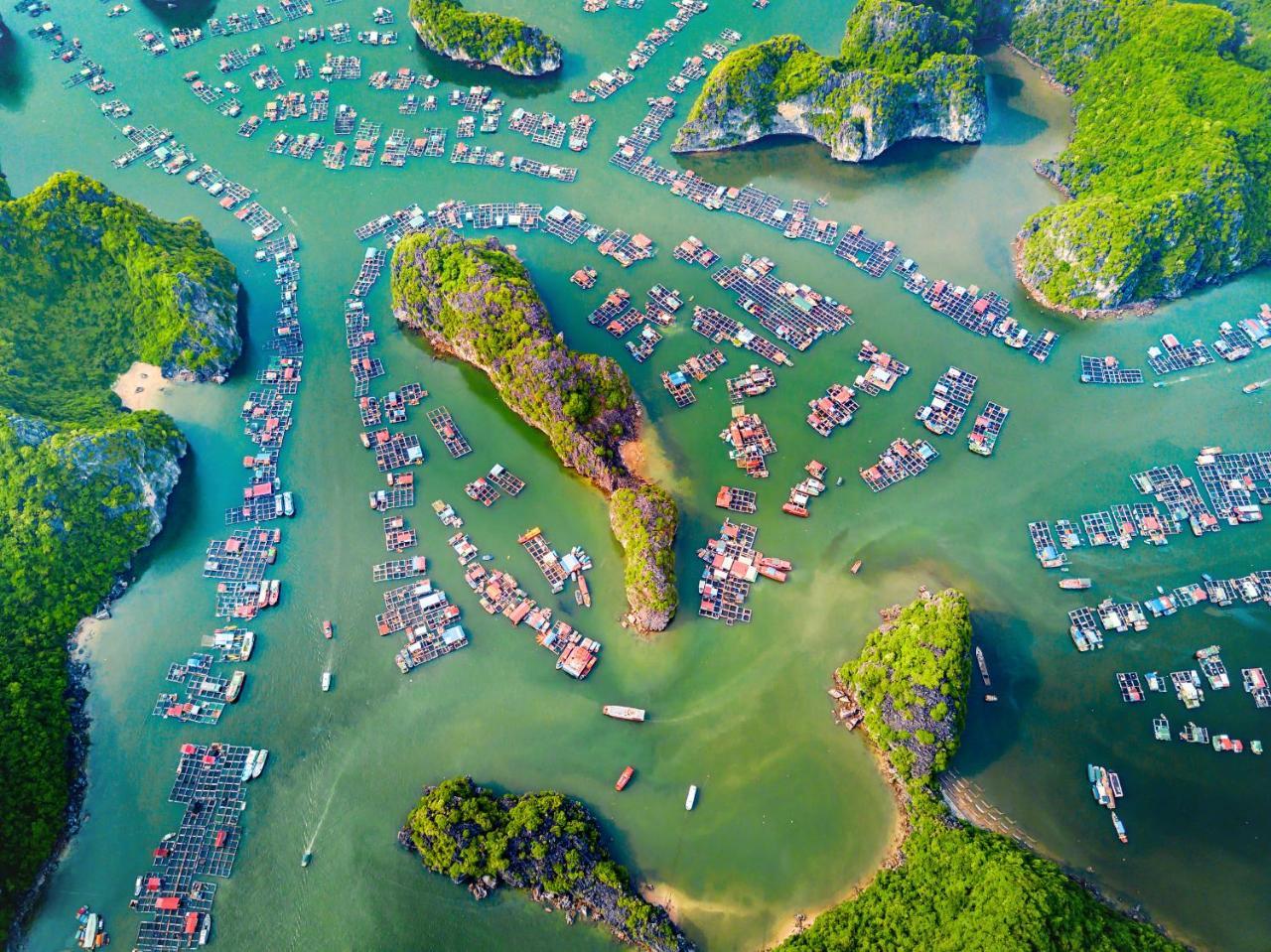Alibaba'S Hotel Cat Ba Island ภายนอก รูปภาพ